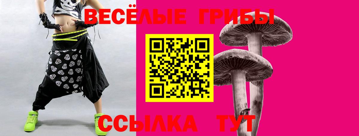 Псилоцибиновые грибы MAGIC MUSHROOMS  цены наркотик  Губаха  Вход с VPN 