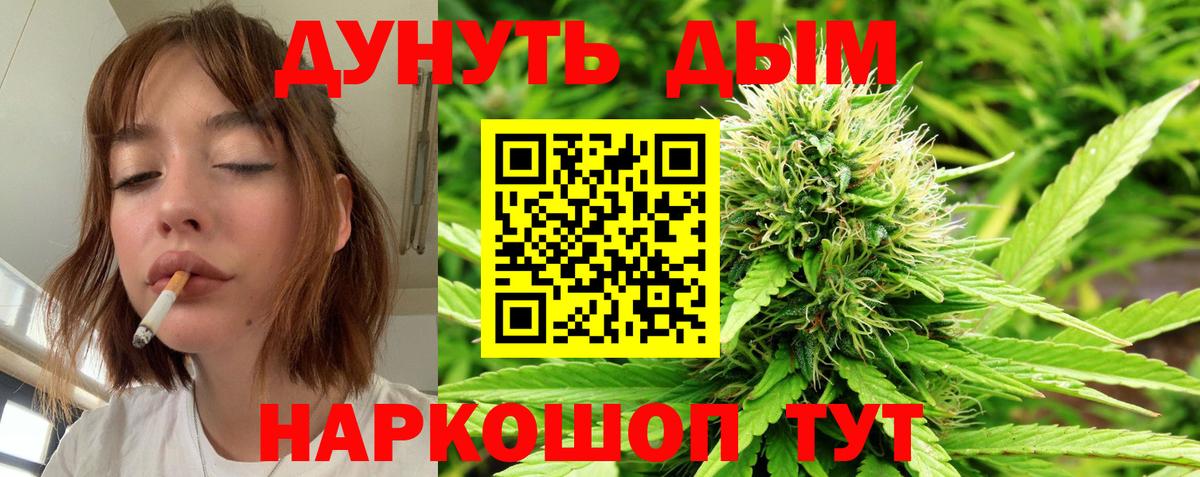 Марихуана гибрид Губаха